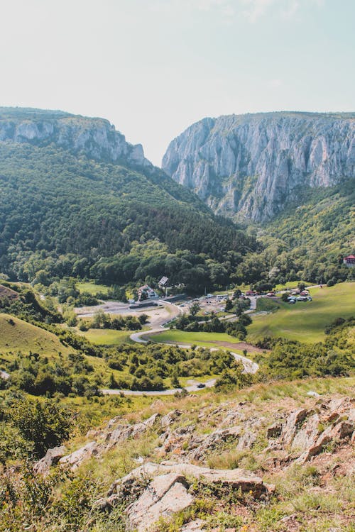 @dış mekan, açık hava, ağaç içeren Ücretsiz stok fotoğraf