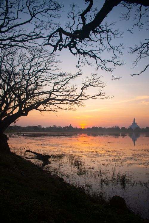 Free A beautiful sunset over a calm lake with reflective waters and bare trees in silhouette. Stock Photo