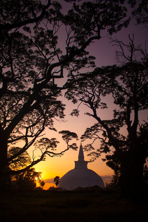Free Discover the silhouette of the Ruwanweli Maha Seya pagoda framed by trees during a stunning Sri Lankan sunset. Stock Photo