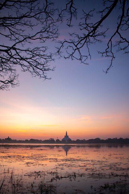 Free Tranquil sunset over a placid lake with leafless trees and a pagoda silhouette. Stock Photo