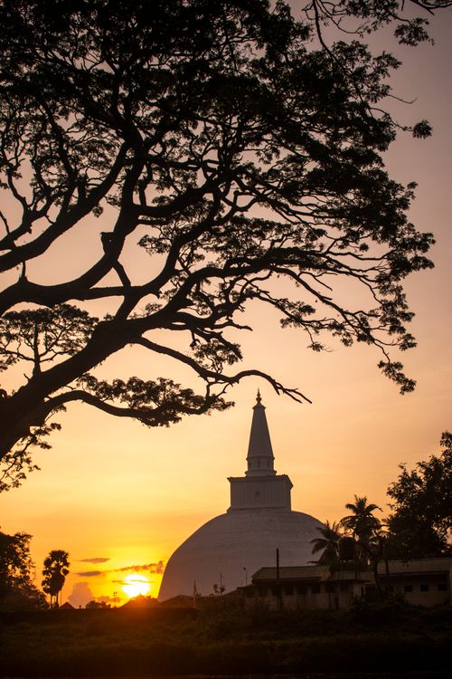 Free Captivating view of Ruwanweli Maha Seya at sunset with silhouetted tree branches framing the stupa. Stock Photo