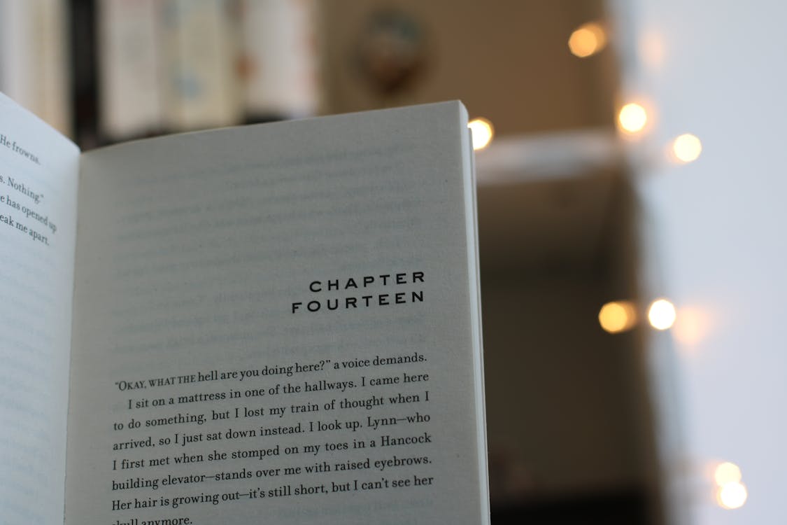Bokeh Shot of Opened Book Chapter Fourteen · Free Stock Photo