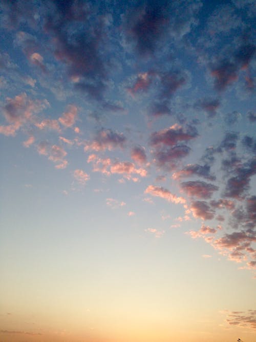 無料 雲のローアングル写真 写真素材