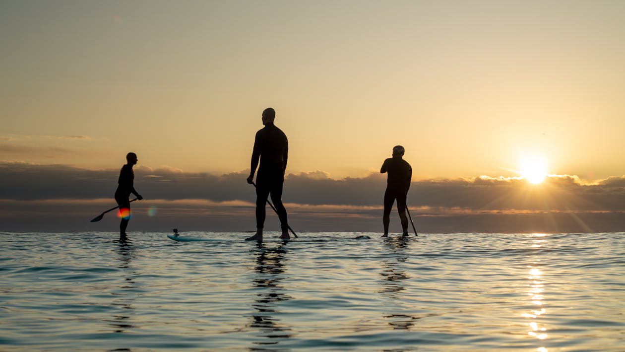 Silhouette of People Doing Paddle Boarding