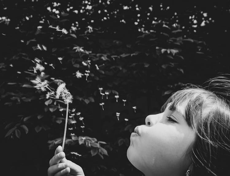 A Girl Blowing A Dandelion