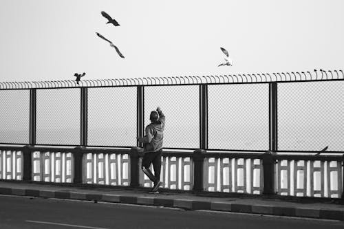 Fotos de stock gratuitas de blanco y negro, cerca, fotografía en escala de grises