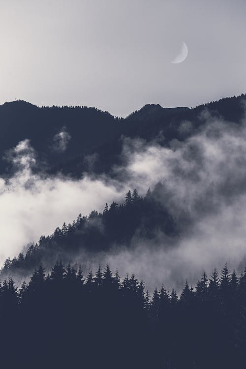 Foto Van Berg Bedekt Met Mist