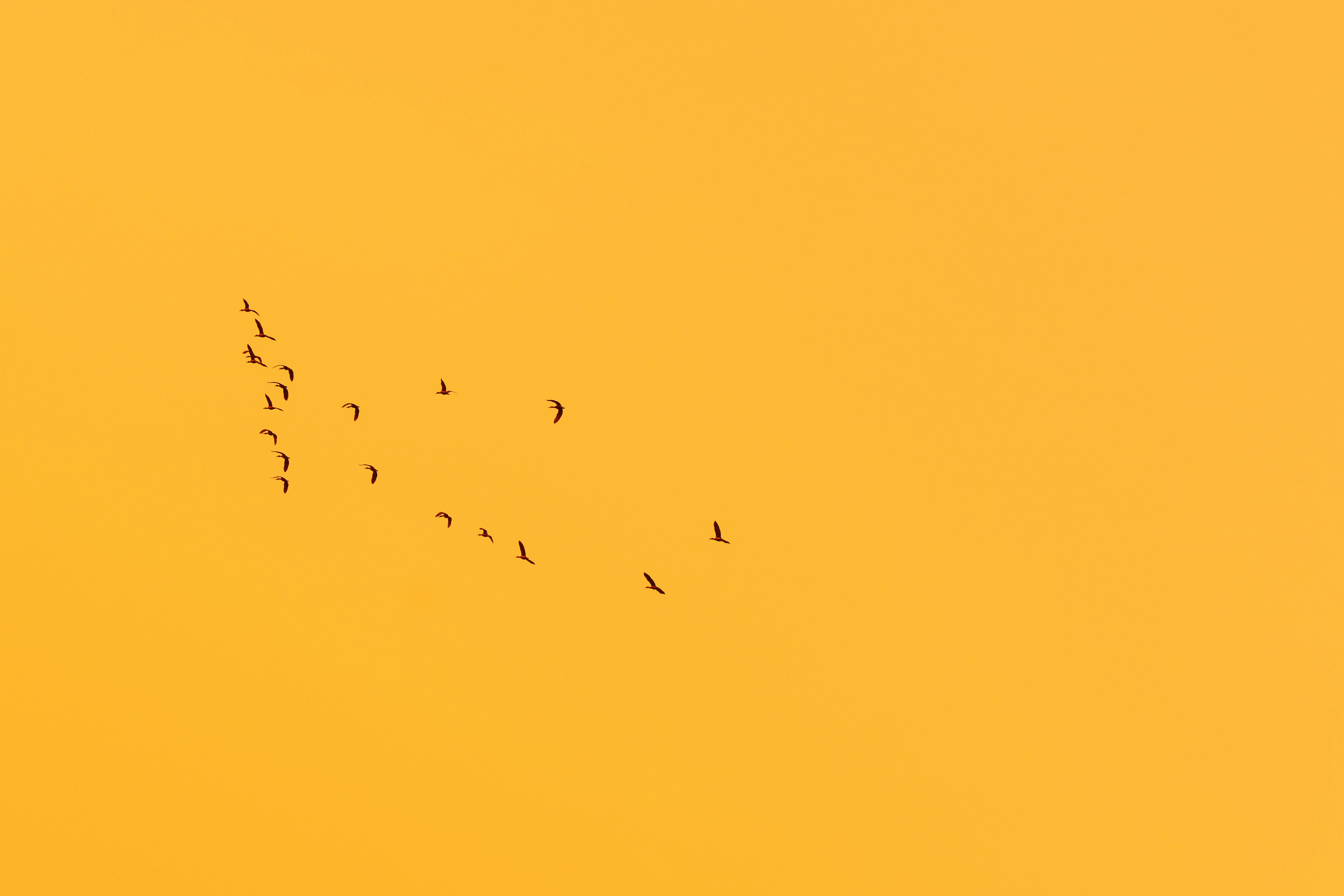 Gratis Fotos de stock gratuitas de abstracto, aéreo, África Foto de stock