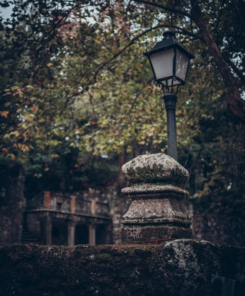 A Streetlight in a Park