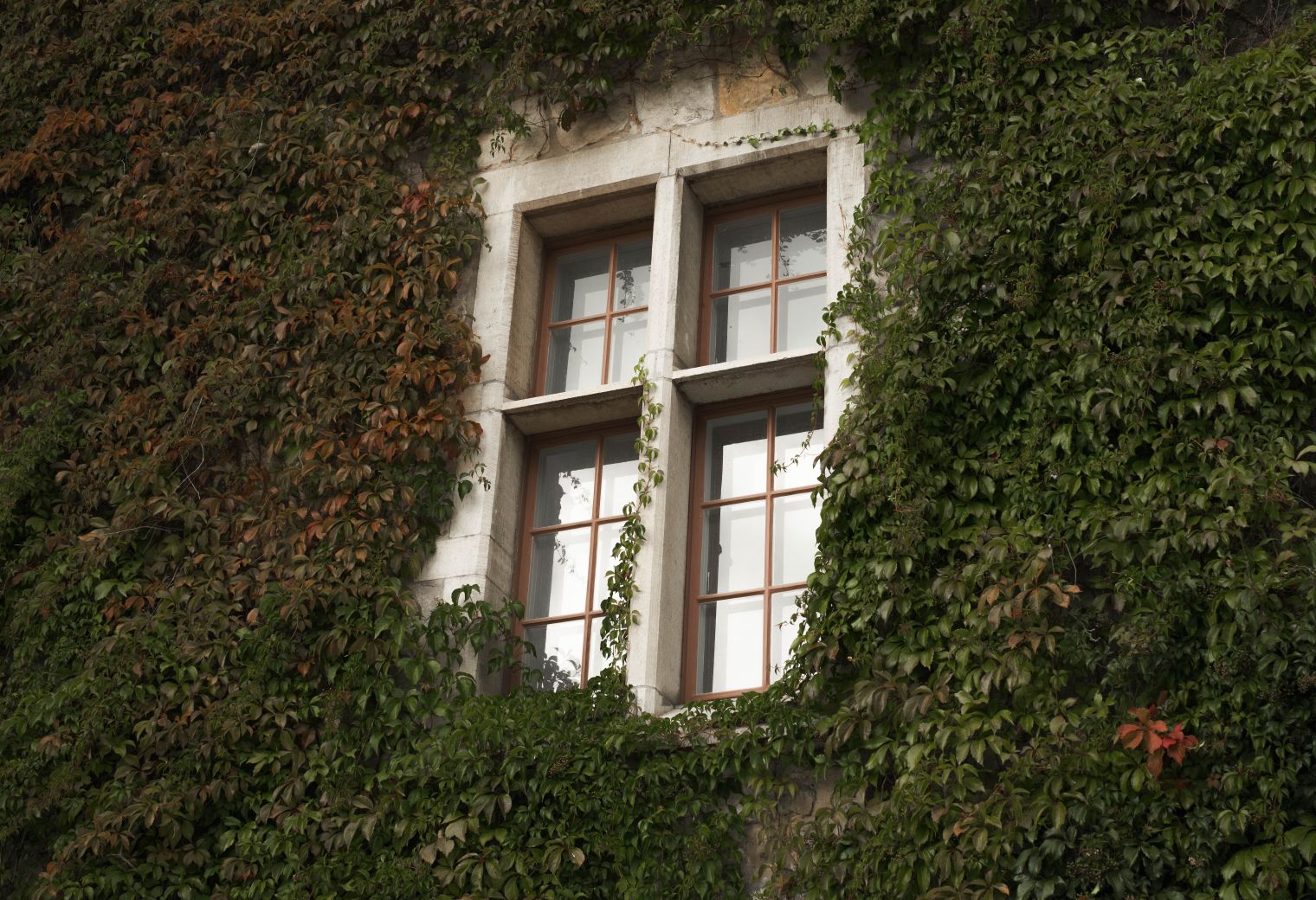 Exterior Painting in Barnes Cray — woodwork brushed to a crisp, smooth line