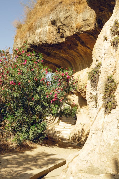 Rock Formations in Desert