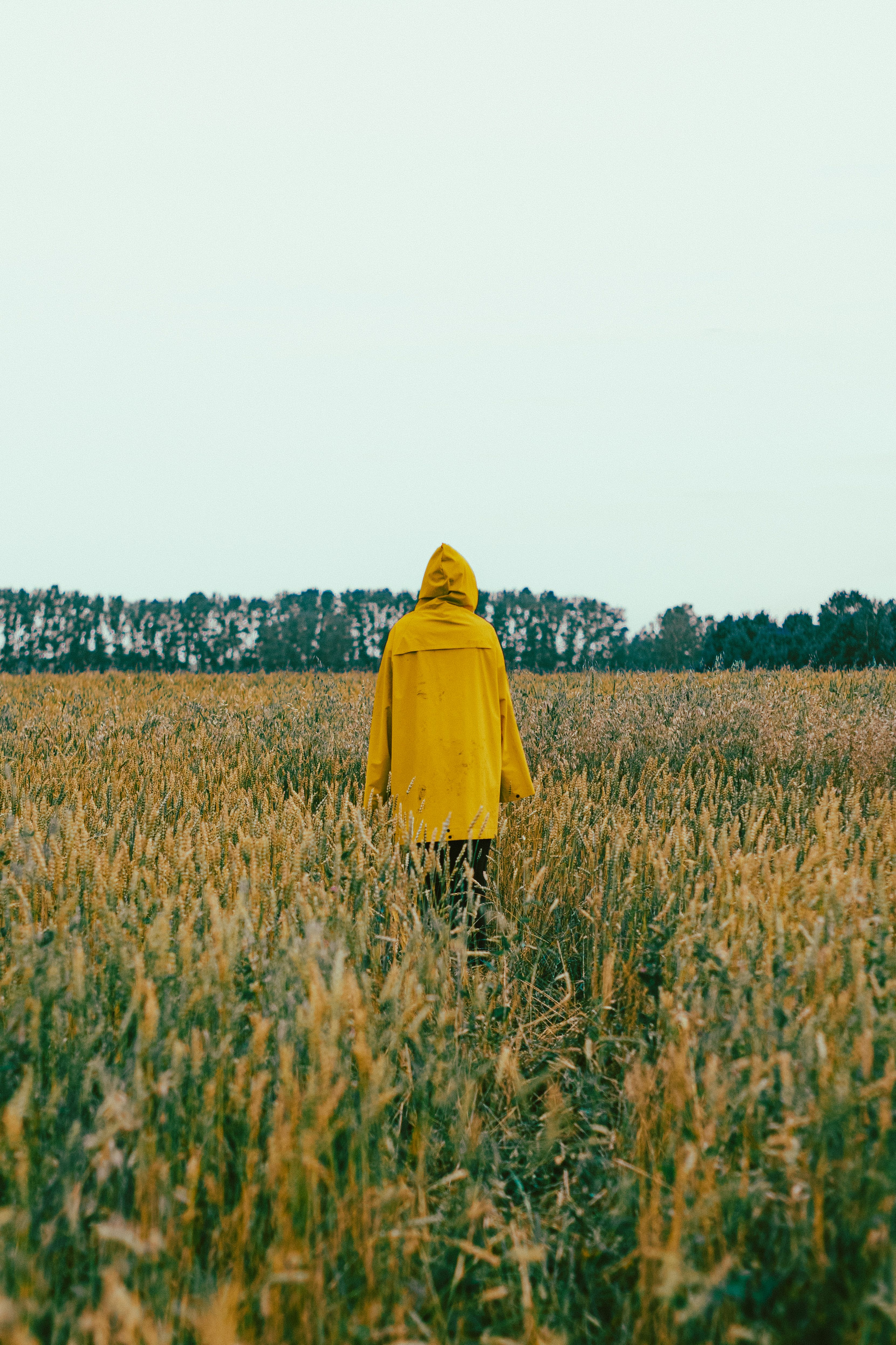 Person in Yellow Coat Walking in Field · Free Stock Photo