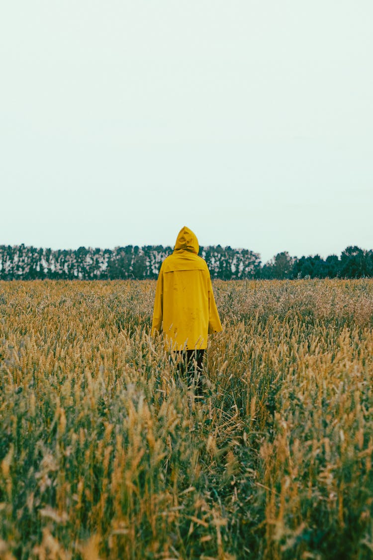 Person In Yellow Coat Walking In Field