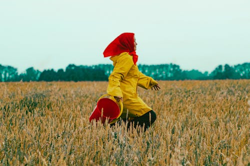 Kostenloses Stock Foto zu feld, frau, gelb