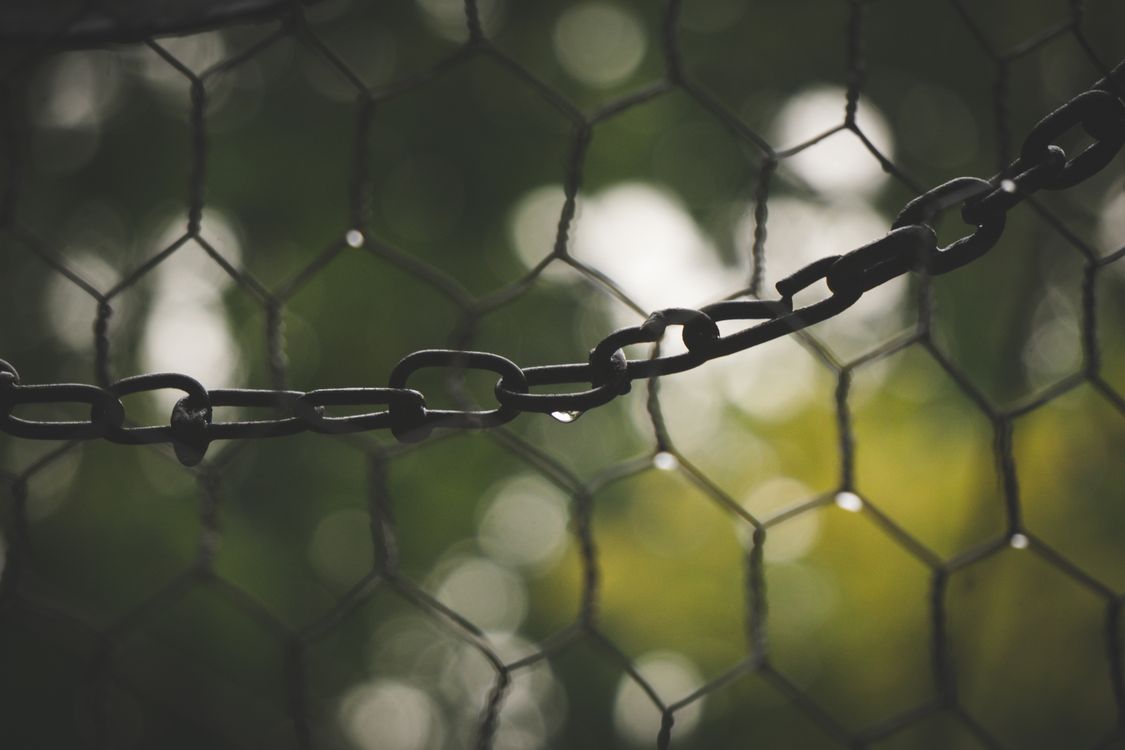 Chain against Mesh · Free Stock Photo