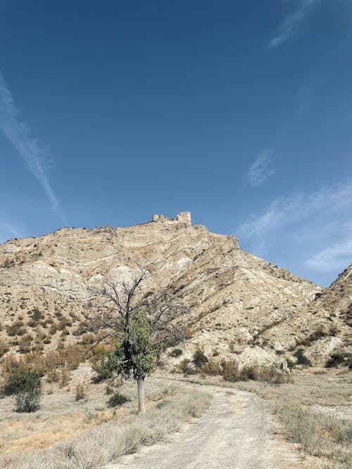 Imagine de stoc gratuită din călătorie, castel, castele