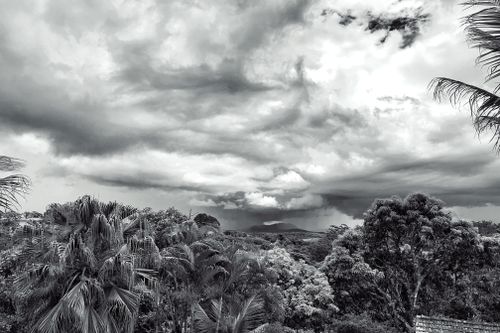 Free stock photo of cloudy sky, dense, forest Stock Photo