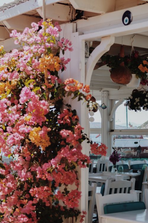 Free A vibrant patio adorned with blooming flowers, perfect for relaxed outdoor dining. Stock Photo