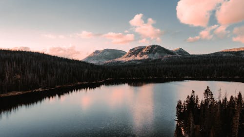 Darmowe zdjęcie z galerii z 2020 tło, forrest, fotografia krajobrazowa