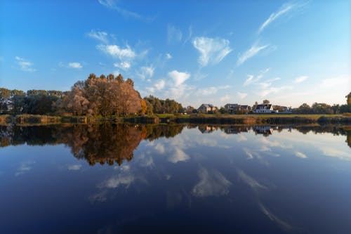 Photos gratuites de arbres, Biélorussie, ciel bleu