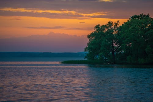 Photos gratuites de arbre, aube, crépuscule