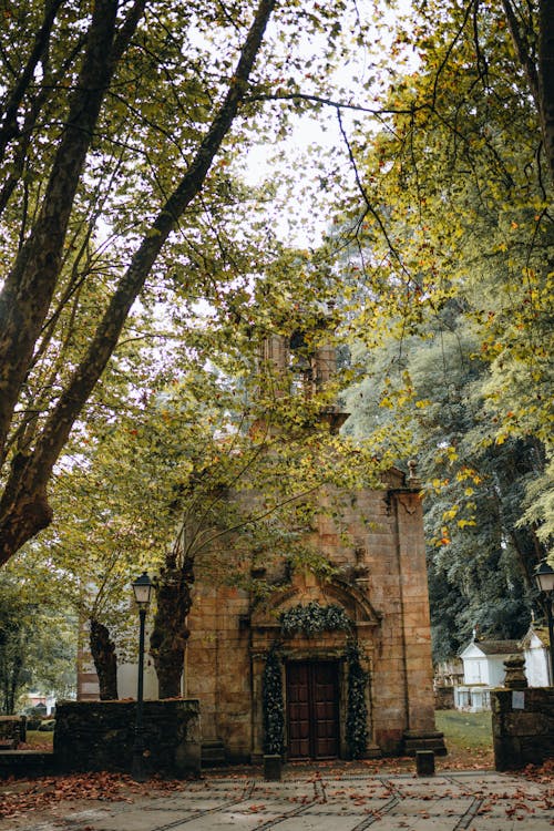 Darmowe zdjęcie z galerii z cmentarz, drzewa, kaplica