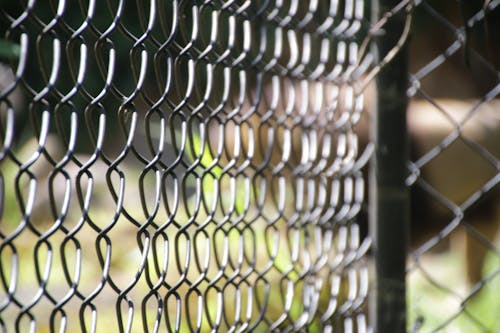 Free stock photo of caged, wireframe, zoo