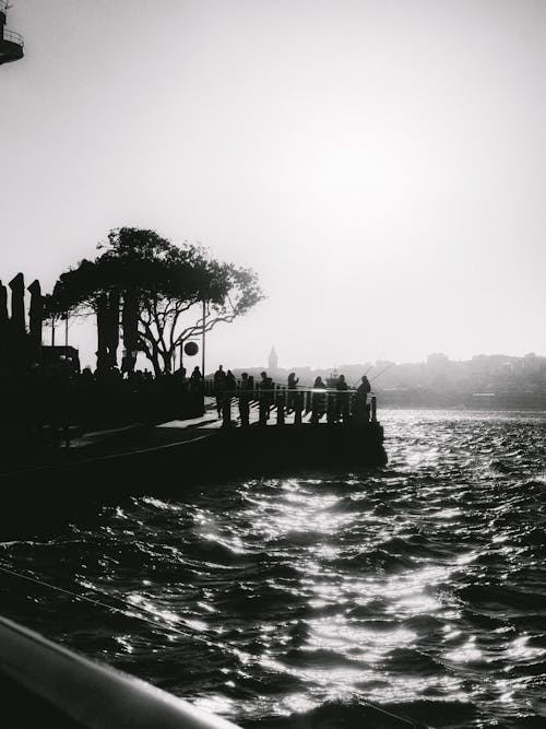 People on Promenade on Seashore