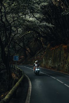 Motorcyclist cruising through serene forest road in CN, Spain.