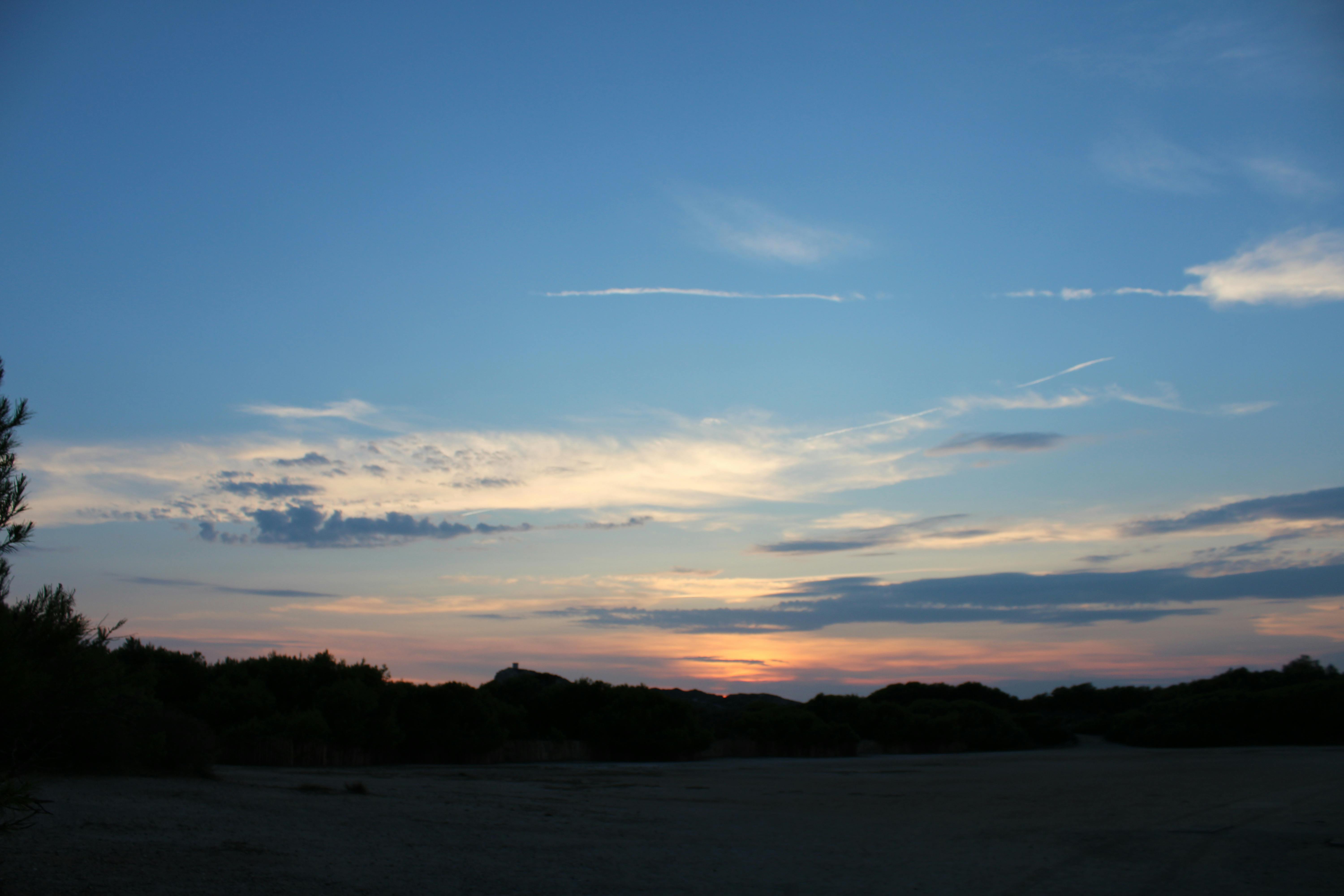 Free stock photo of blue sky, plane, sunset
