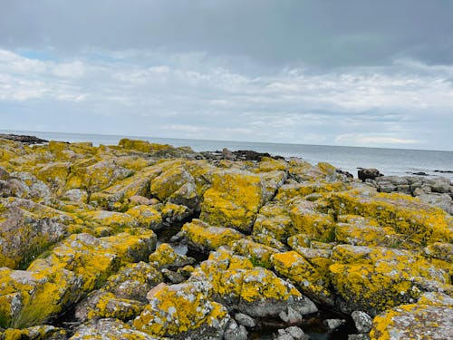 Darmowe zdjęcie z galerii z kamienie, morze, nadmorski