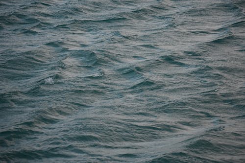 Free Waves on Body of Water  Stock Photo