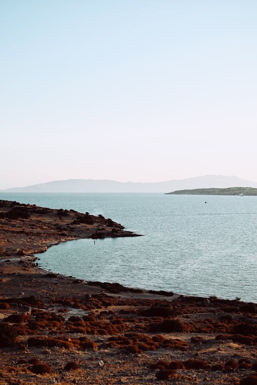 Fotos de stock gratuitas de bahía, cielo limpio, costa