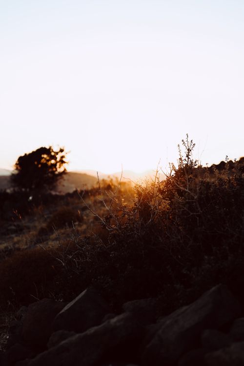 Free Serene sunset landscape capturing golden hour light and silhouetted tree on rugged terrain. Stock Photo