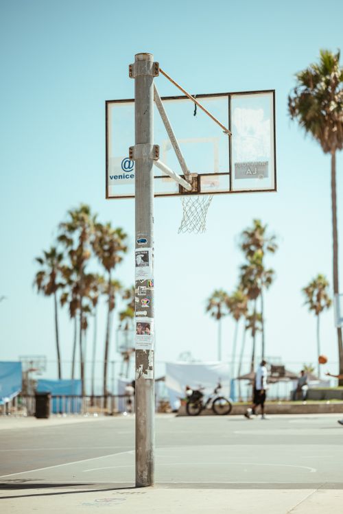 Free Basketball hoop on a sunny day at Venice Beach with palm trees lining the court. Stock Photo