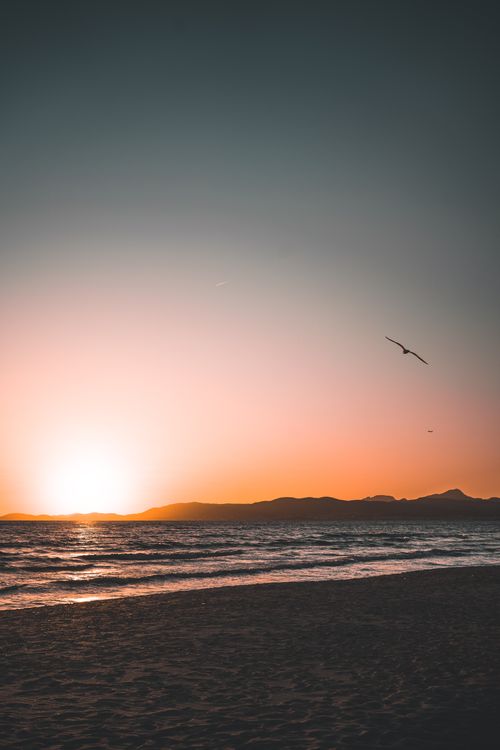 Last Days of May in Ibiza: Open-Air Art, Family Theatre and a Week of Free Live Music (May 26–June 1, 2026)