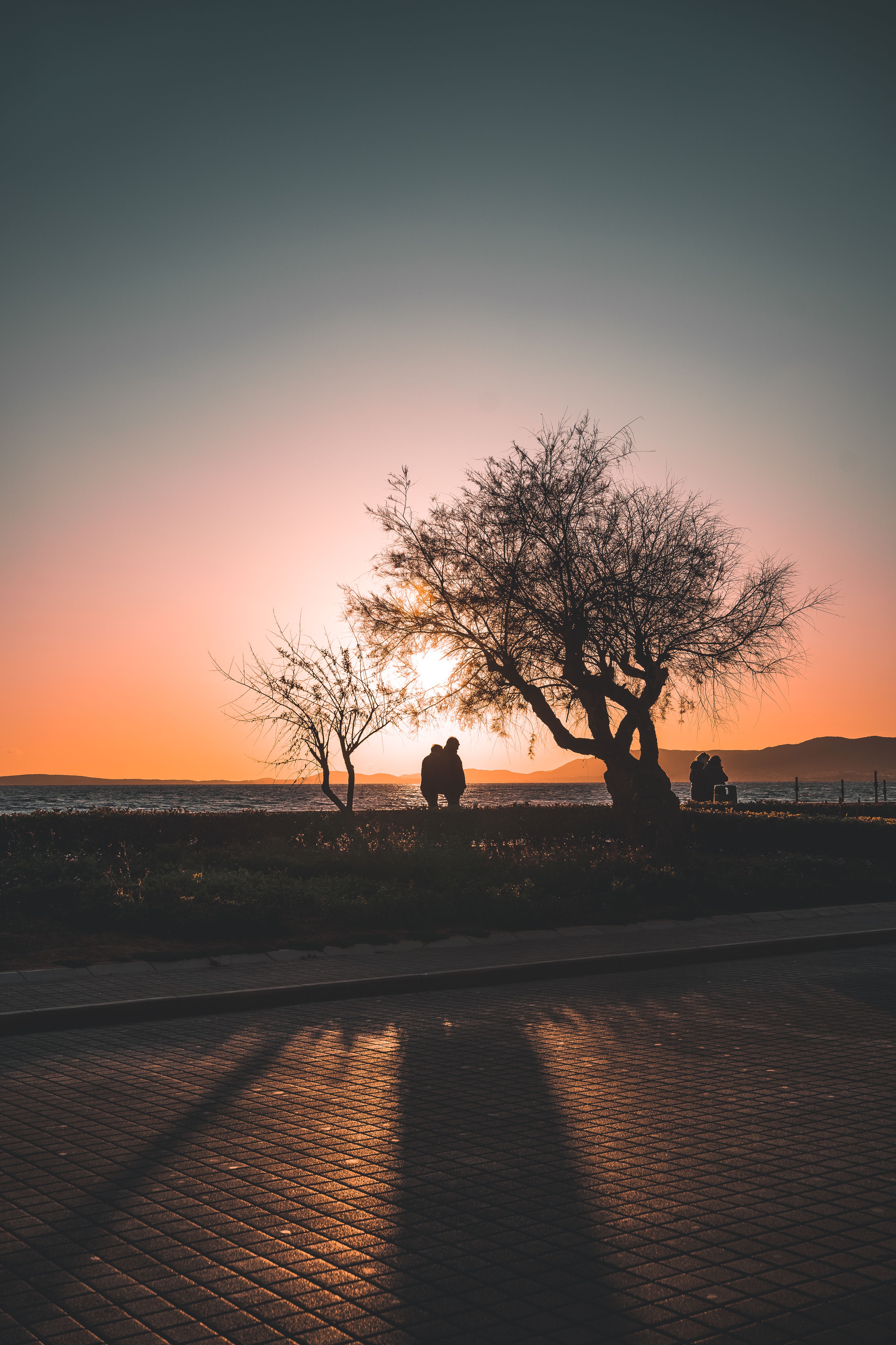 Silhouette of Couple Beside a Tree During Sunset · Free Stock Photo