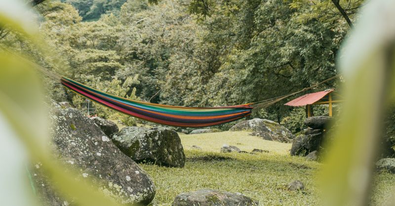 Hammock : Top Conseils Jardin 2026
