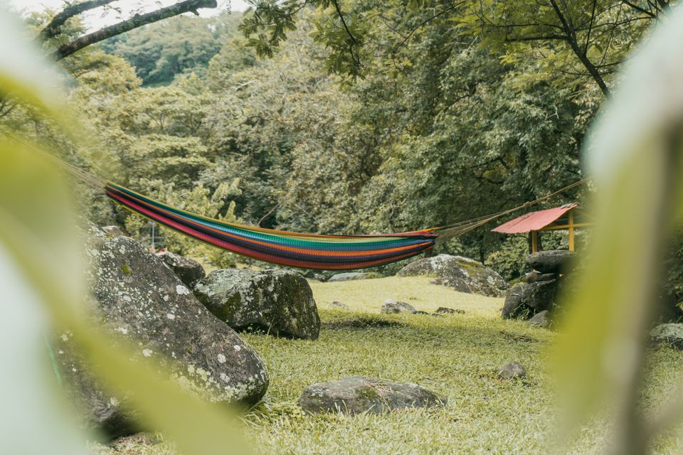 Cabaña de madera con porche y vista al bosque nublado, típica de la oferta de El Valle