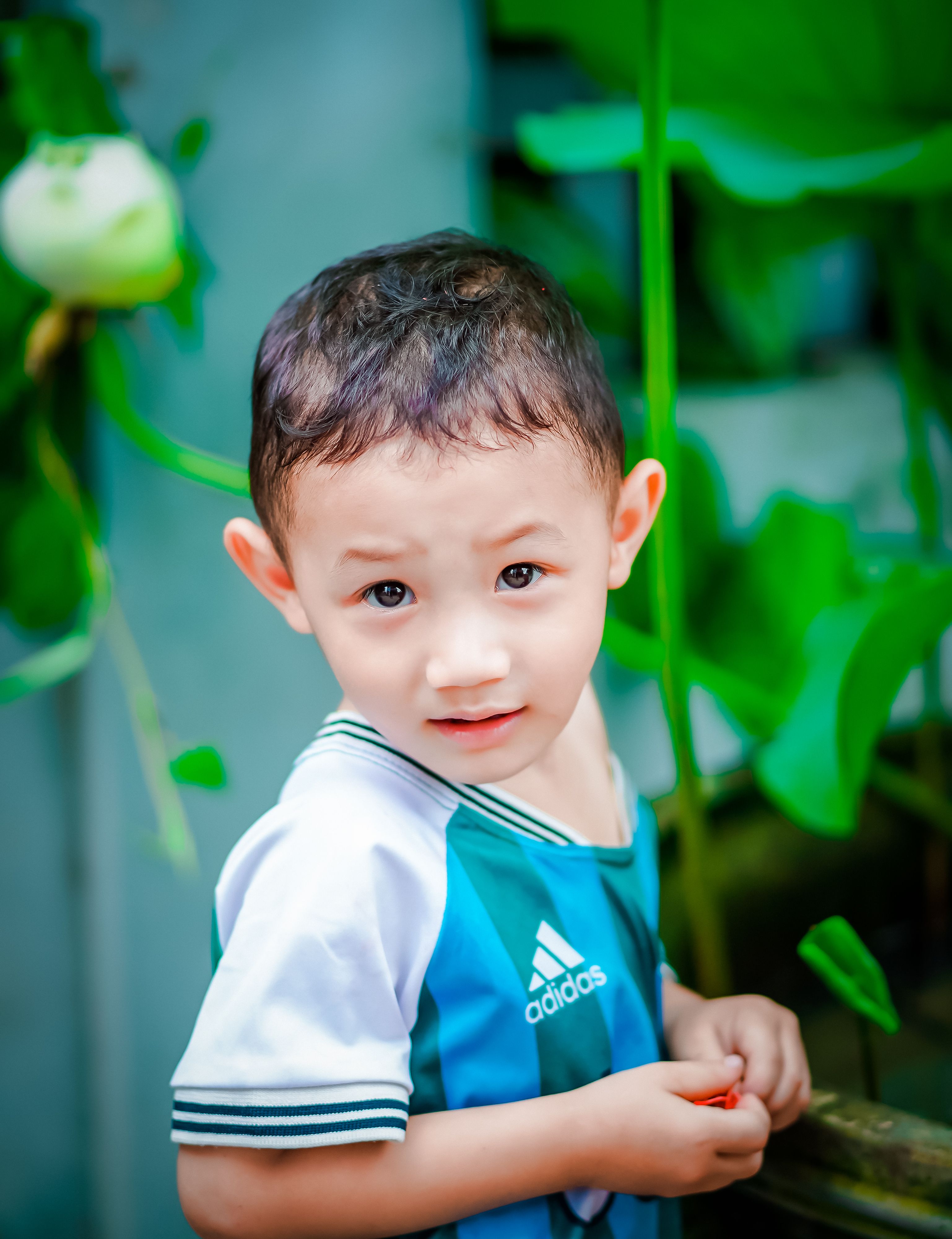 CloseUp Shot of a Cute Little Boy · Free Stock Photo
