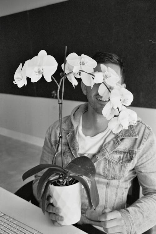 Foto profissional grátis de escala de cinza, flores, holding