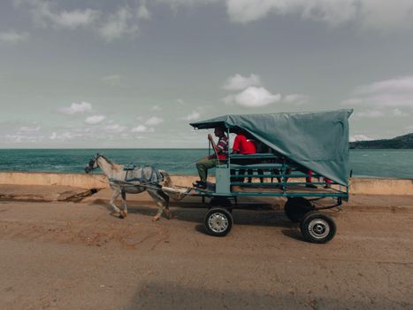 A horse-drawn cart with people traveling along a coastal road by the sea.