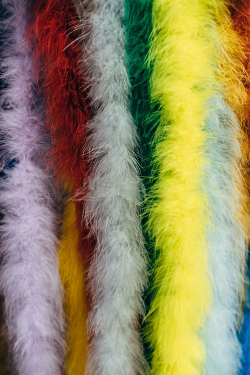 Free Close-up of vibrant colored feather boas hanging, showcasing texture and softness. Stock Photo