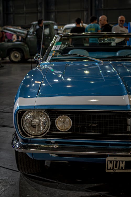 Fotobanka s bezplatnými fotkami na tému auto, chevrolet camaro, expo