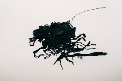 Dried seaweed nori sheets showing dark green color and natural texture