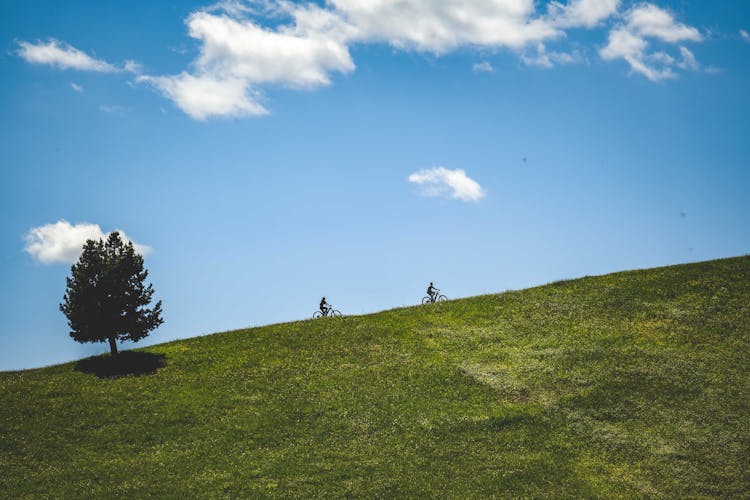 Silhouette Of People Riding Bicycles On A Hill