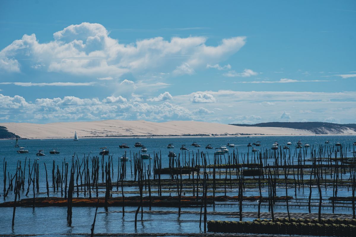 Oyster farms in Arcachon Bay, the Dune du Pilat glowing across the water