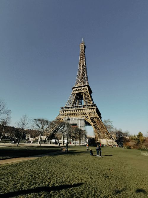 Free Stunning view of the Eiffel Tower surrounded by greenery in Paris, France. Stock Photo