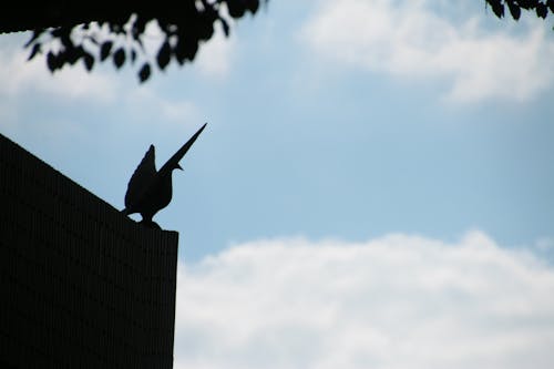 Free stock photo of statue