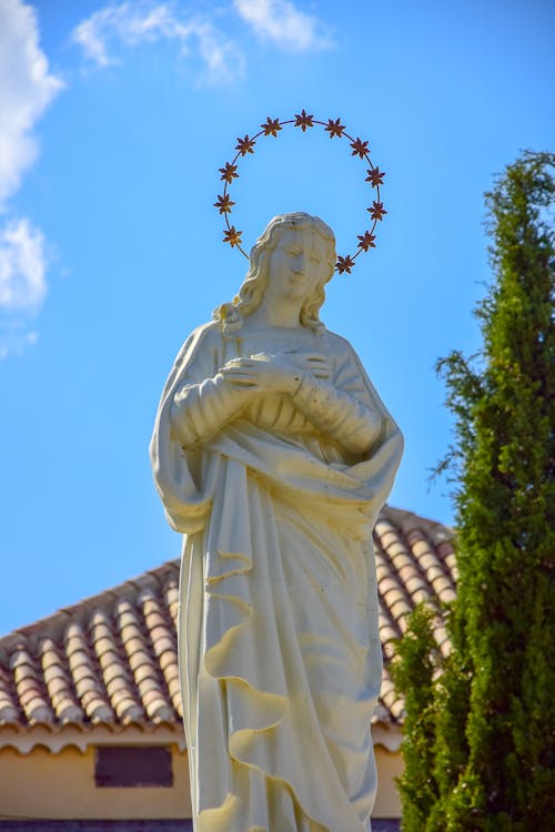 低角度拍攝, 圣母玛利亚, 垂直拍摄 的 免费素材图片